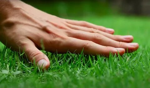 Touch grass