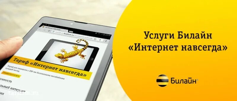 Интернет навсегда билайн. Интернет навсегда. бесплатный интернет навсегда. интернет навсегда билайн 2015.