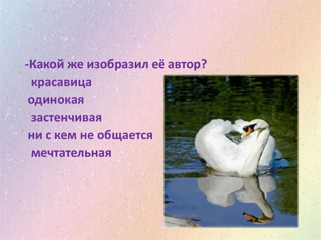Стихотворение лебедь в зоопарке. Заболоцкий лебедь в зоопарке. Н. Рисунок к стихотворению лебедь в зоопарке. Лебедь в зоопарке заболоцкий.