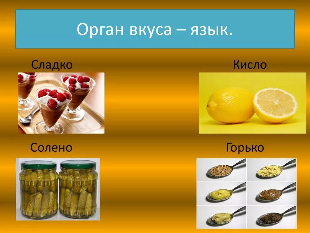 Продукты имеющие сладкий вкус. Сладкие и соленые продукты. Соленый вкус. Кислый сладкий горький соленый. Соленое на вкус для детей.