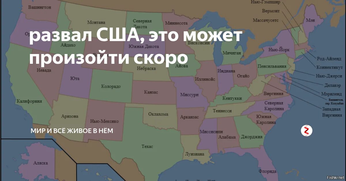Район какая страна. Штаты Америки на карте и их столицы. 50 Штатов Америки на карте. 50 Штатов США на карте. Штаты США список на карте.