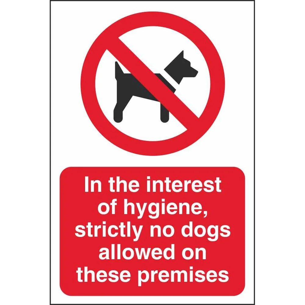 Is not allowed here. Вход с собаками запрещен табличка. walk here знак. no dogs. dogs are allowed.