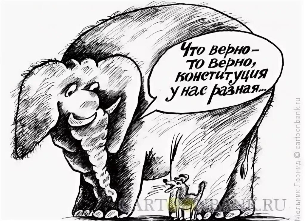 Знать она сильна. Слон карикатура. Смешной слон анекдот. Слон и моська карикатура. Слон и моська прикол.