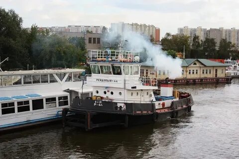 Затон новинки