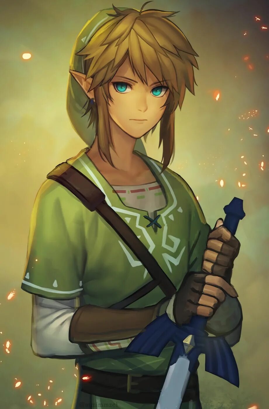 Линк зельда. Линк легенда о зельде breath of the wild. Линк легенда о зельде. Legend of zelda u. Линк зельда.