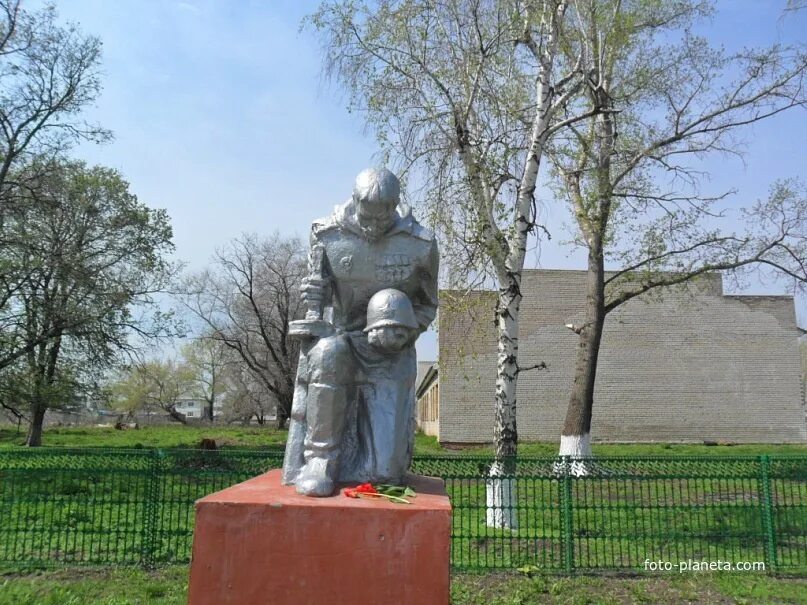 Погода выселки ставропольского. Выселки (Самарская область). Выселки Ставропольский район Самарской области. Село Выселки Ставропольский район Самарская область. Сельское поселение Выселки, Ставропольский район, Самарская область.