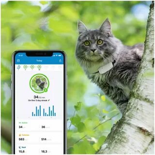 Gps трекер для кошек