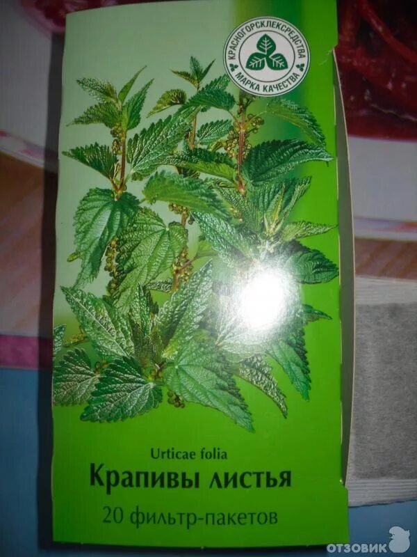 Береза повислая лекарства. Аптечный лист. Шалфей коробка. Аптечный лист. Листья шалфея лекарственного лрс.