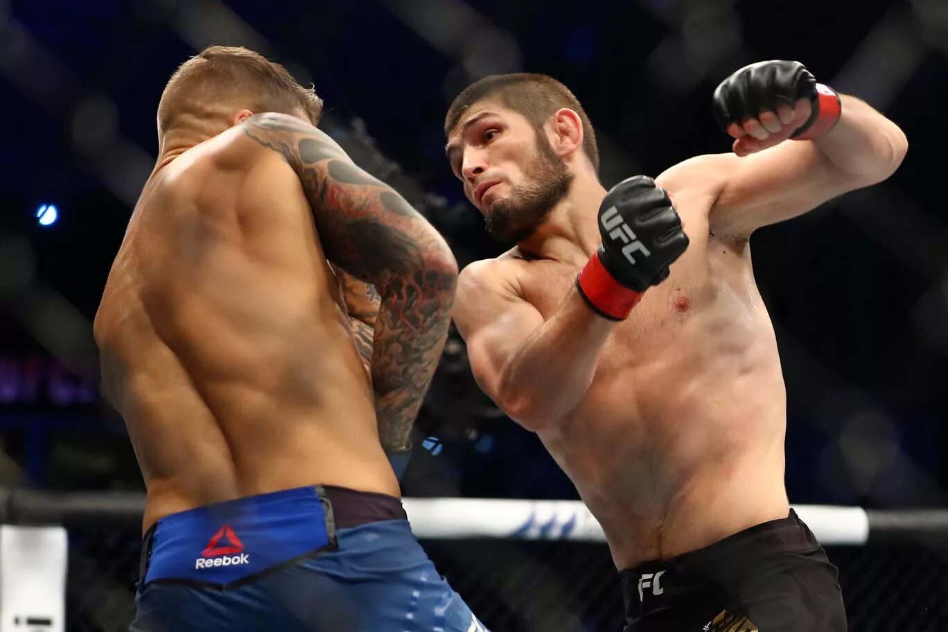Последний бой хабиба нурмагомедов в ufc