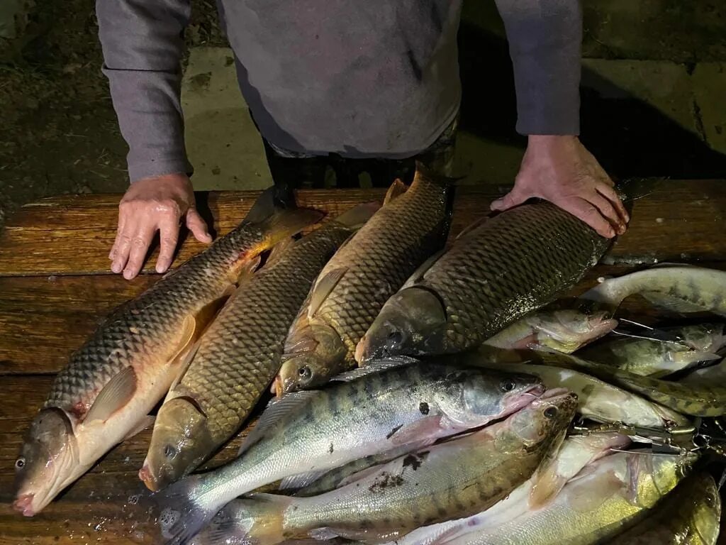 рыбалка в астрахани сейчас. рыбалка в астрахани 2022 раскаты. рыбалка в астрахани. рыбалка в астрахани. рыбалка астрахань астрахань.