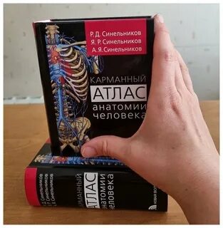 Анатомия книга синельников