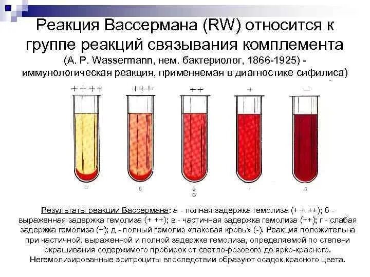 Комплемента рск. Реакция связывания комплемента (реакция Вассермана) компоненты. Отрицательный результат реакции связывания комплемента. Реакция связывания комплемента РСК микробиология. Реакции связывания комплемента иммунология схемы.