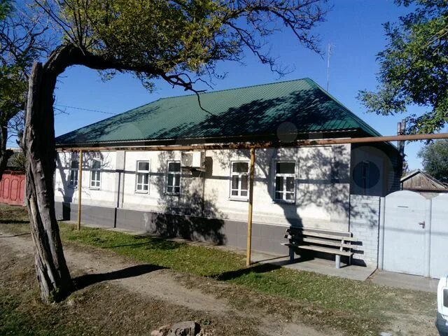 Чернолесское. Село чернолесское новоселицкого района. Чернолесское ставропольский. Село новоселицкое ставропольский край. Чернолесское.