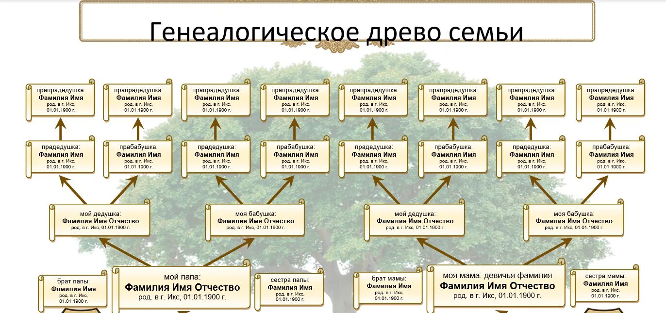 Как узнать имена родственников. Таблица генеалогическое Древо семьи. Составление генеалогического дерева. Составление генеалогического древа. Генеалогическое Древо схема.