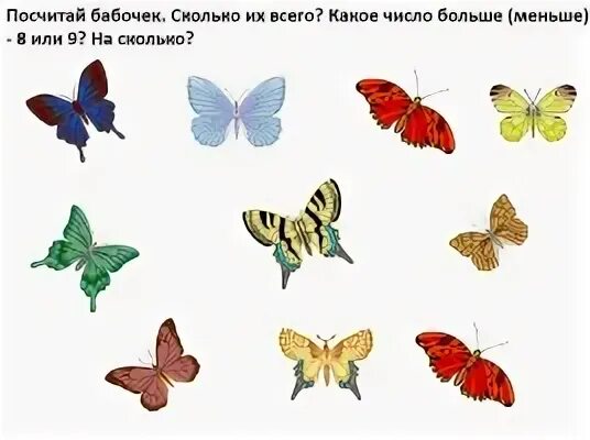 Игра сколько бабочек