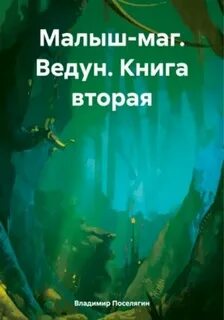 Поселягин малыш маг 2