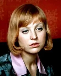 Балапан құмарланып жатыр (gif)