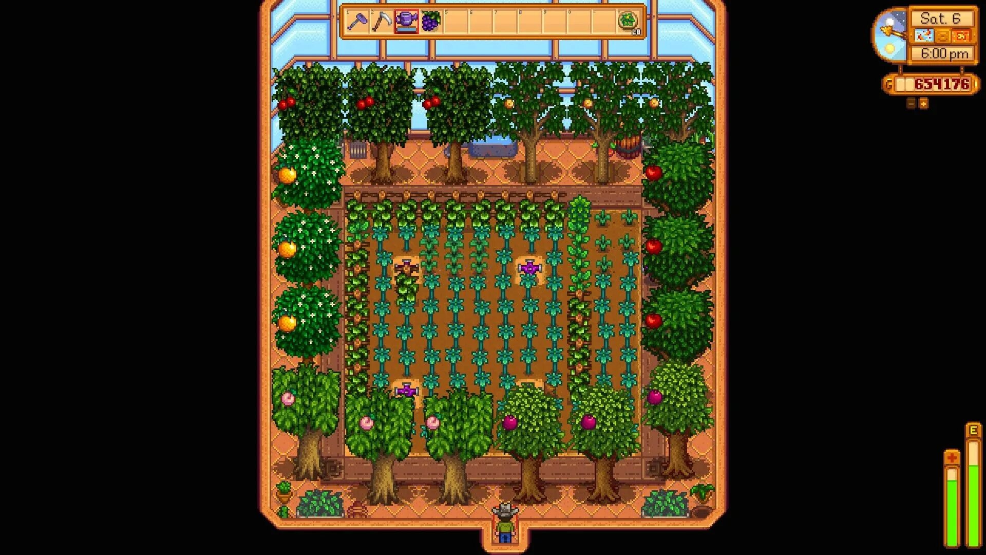 Иридиевый спринклер. Спринклер stardew valley схемы. Stardew valley теплица деревья. Спринклер stardew valley. Stardew valley greenhouse layout.