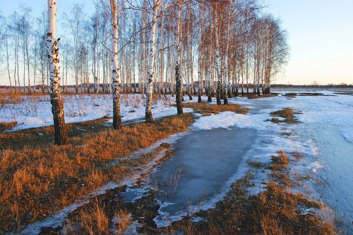 Начала весны среднем начало. С началом весны. Конец зимы начало весны.