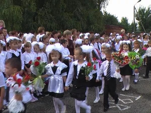 Липецкая школа 1 сентября. Школа 10 гидроторф. Кузьмолово школа. Школа в старолеушковской. Гимназия 441 санкт-петербург.