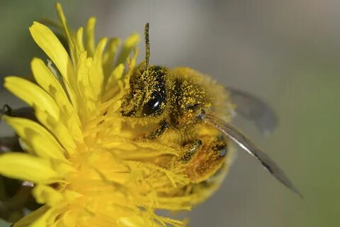 File apis