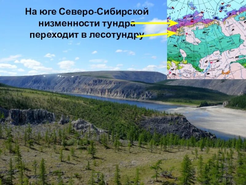 Северо Сибирская низменность. Северомибирская низменность. Северосибирская неизменность. Сверосбириская низменность.