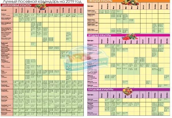 Таблица высадки рассады в открытый грунт. Календарь пересадки рассады помидор. Благоприятные дни для рассады томатов. Какого числа в марте сажать рассаду помидор. Какого числа в марте сажать рассаду помидор.
