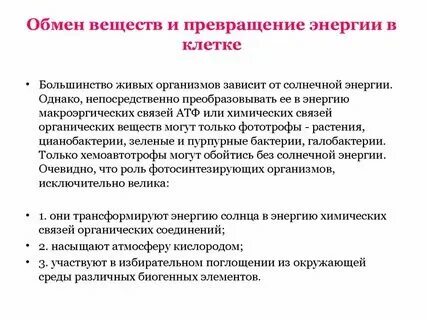 Энергетический обмен 9