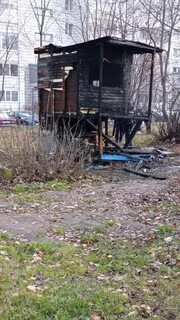 Подслушано сыктывкар