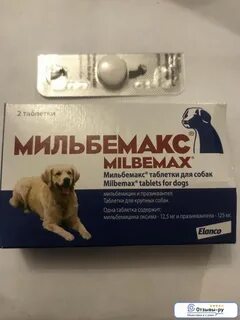 От глистов собаке мелких