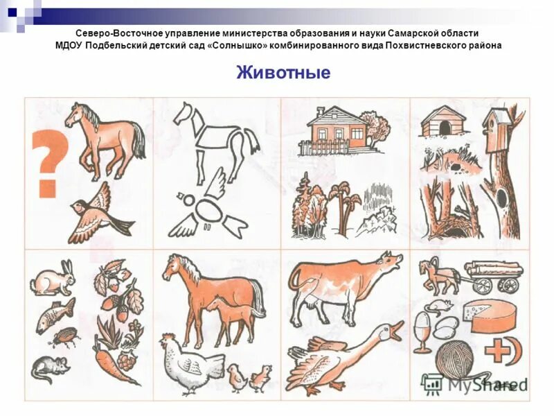 северо восточная управляющая