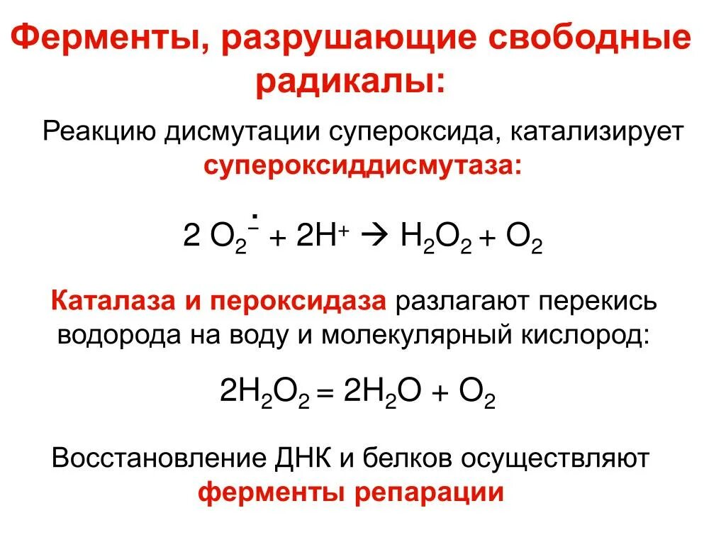 В результате каких реакций образуется водород. Каталаза и пероксидаза. Реакции образования свободных радикалов. Супероксиддисмутаза катализирует реакцию. Что фермент каталаза разрушает пероксид водорода.