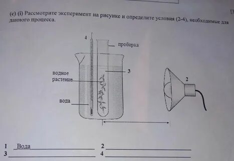 Рассмотреть опыт