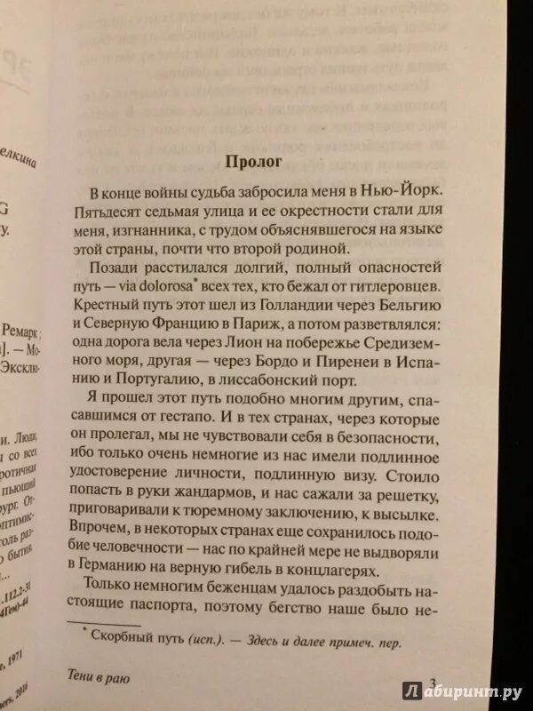 Тени в раю читать. Ремарк тени в раю книга. Тени в раю цитаты из книги.