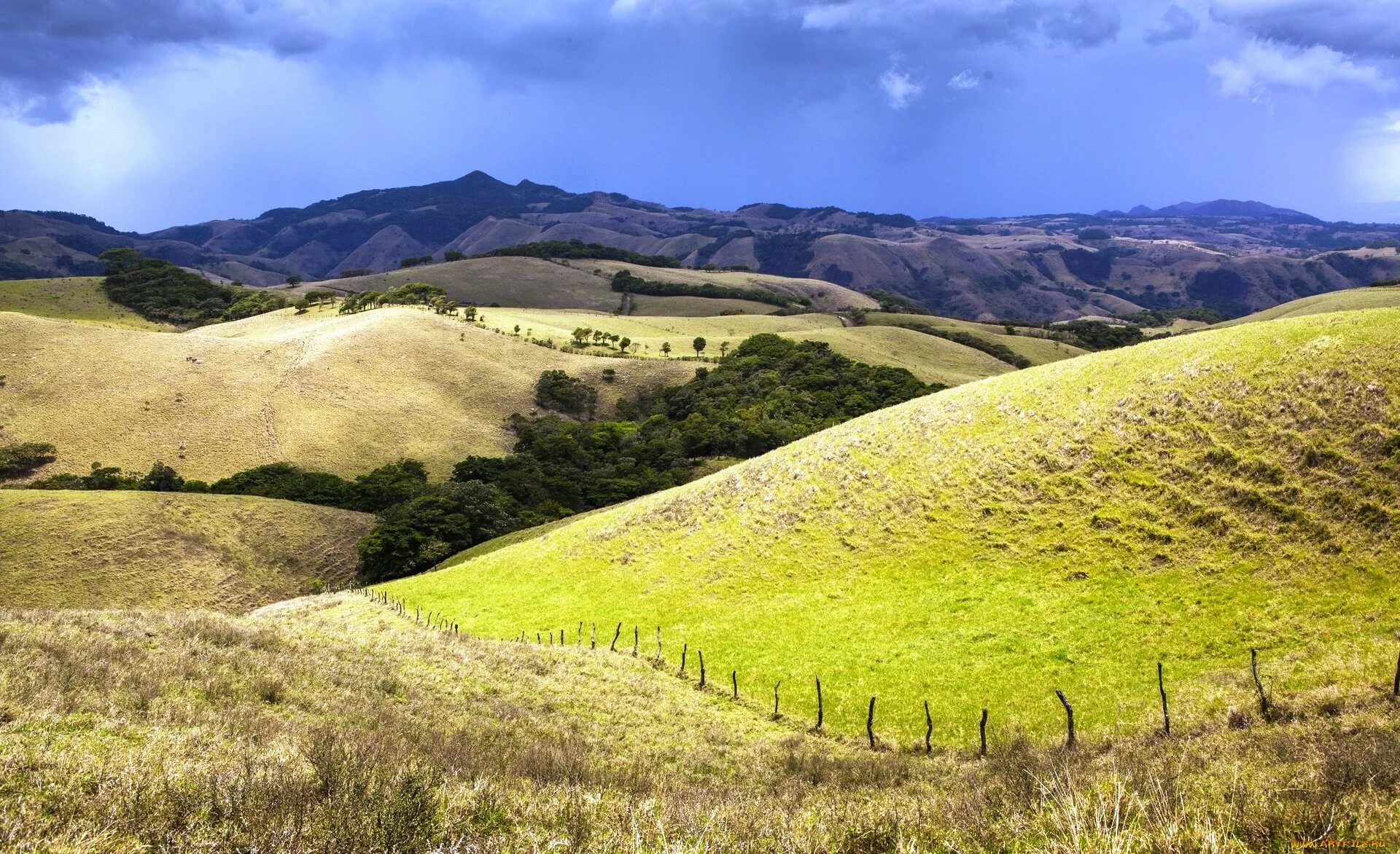 Rolling hills. Коста Рики холмы. Горы Габилан. Обои поле и горы. Холмы my Hills Ульяновск.