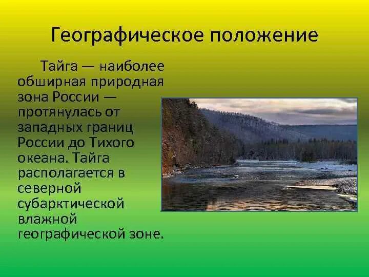 Географическое положение тайги. Географическое расположение зоны тайги. Географическое расположение тайги в России. Природная зона Тайга географическое положение. Тайга география 7 класс