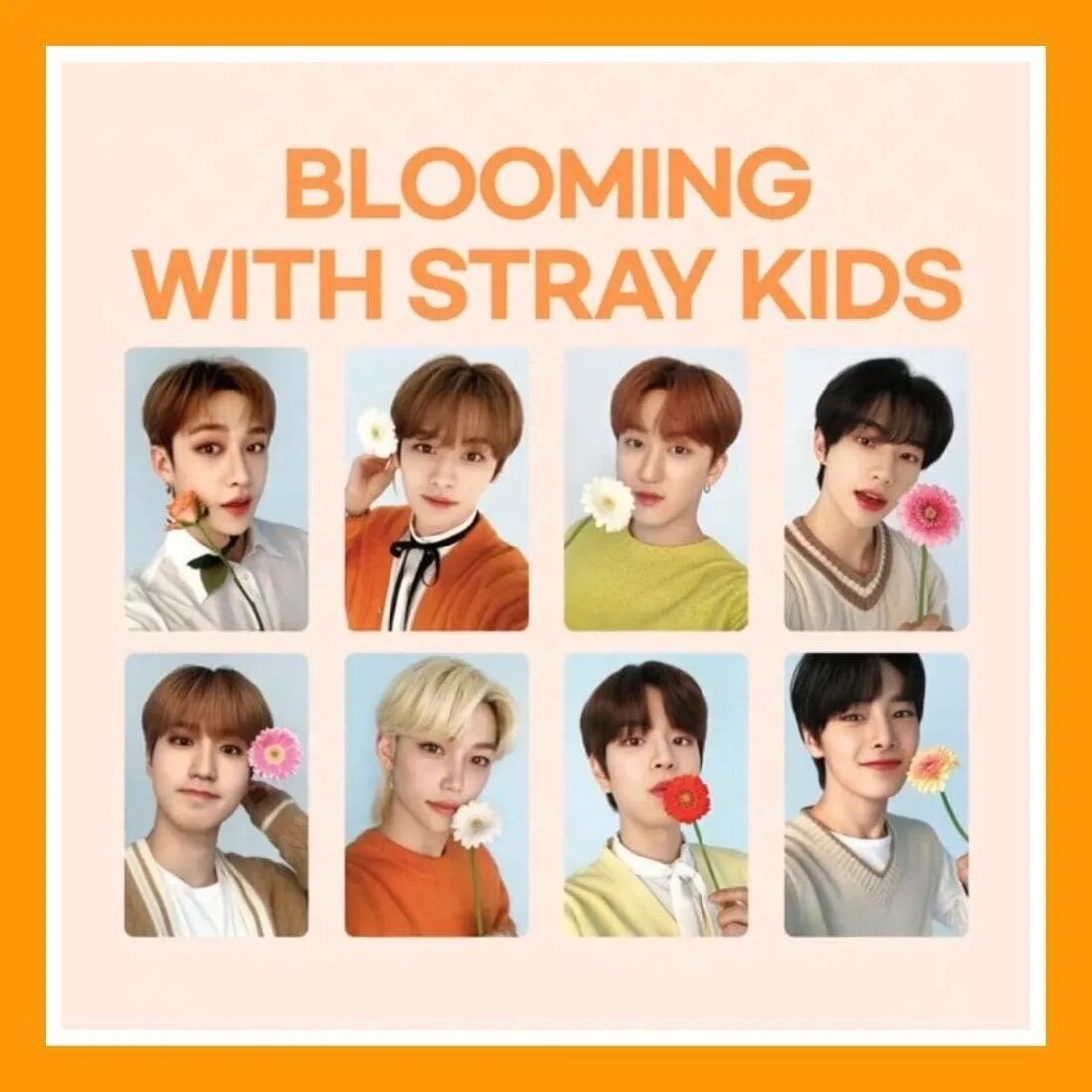 Nacific stray kids. Nacific stray kids косметика. карты stray kids nacific. stray kids x nacific. nacific stray kids карточки.