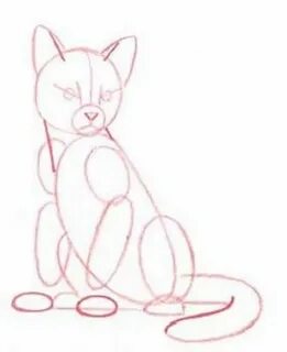 Как нарисовать кота дома