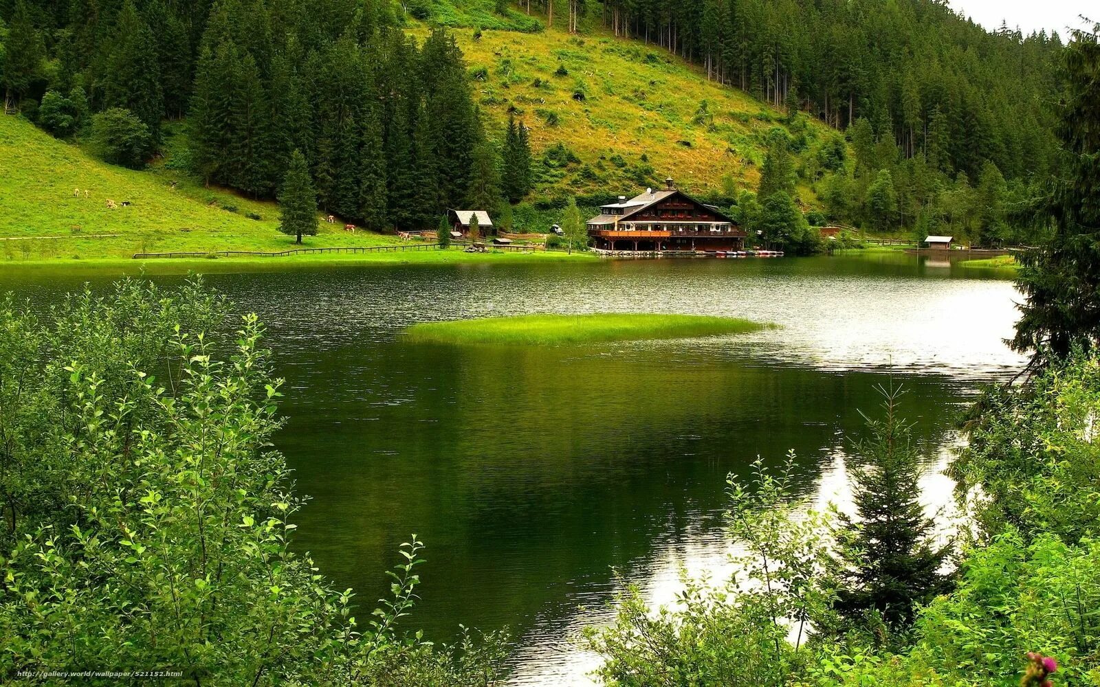 Вода деревенская. Южный Шварцвальд озеро. Домик в горах у озера. Дом в лесу у озера. Дом в лесу у реки.