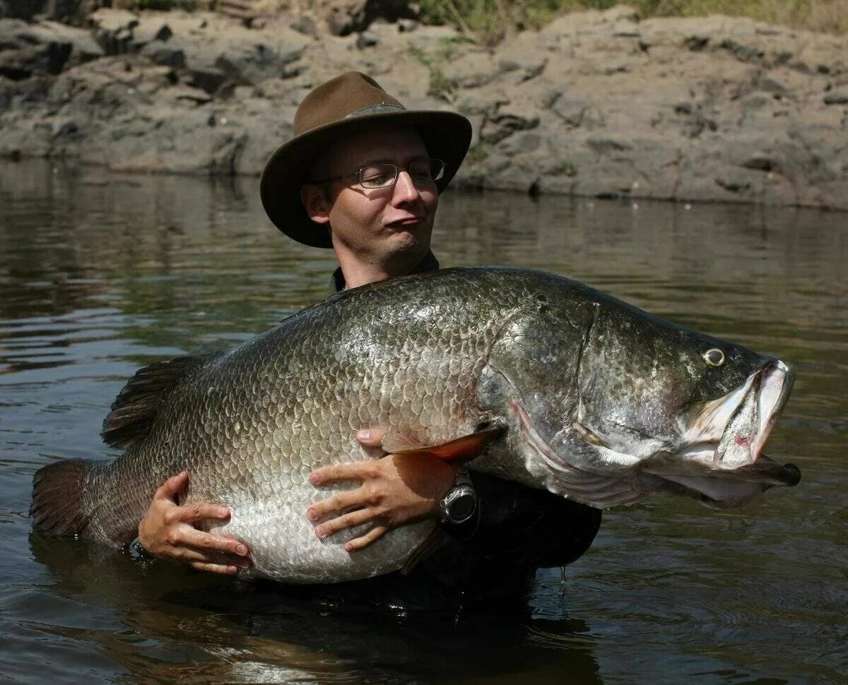 Река укаяли перу. Мараньон и укаяли. Национальный парк салонга. Джереми уэйд речные монстры сои. Крупная речная.