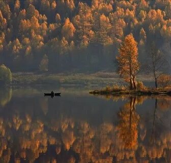 Природа тихо