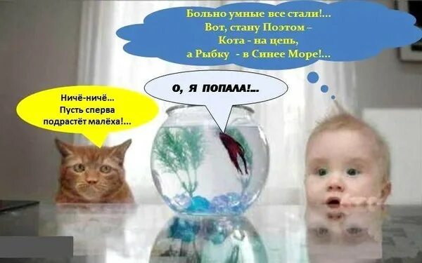 Больно умная стала. Больно умная стала. Цитаты. Жизнь продолжается цитаты. Боль души стихи.
