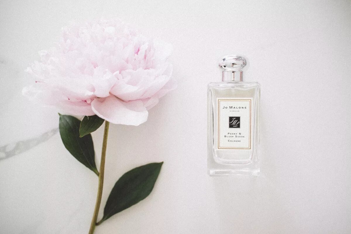 Jo malone peony blush. Джо малон духи пион. джо малон peony blush suede. jo malone peony blush suede cologne. peony &amp; blush suede jo malone london.