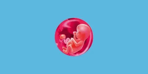 13 неделя беременности что происходит с мамой