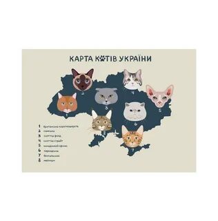 Карту котиков
