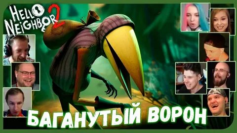 Сосед ворон прохождение