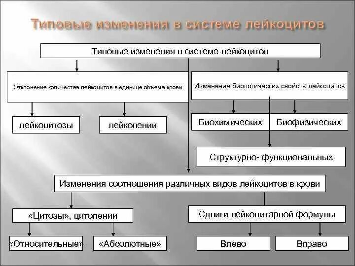 Изменение типовой формы. Типовые изменения в системе лейкоцитов. Типовые формы патологии системы крови. Нарушения системы лейкоцитов. Патофизиология системы лейкоцитов.