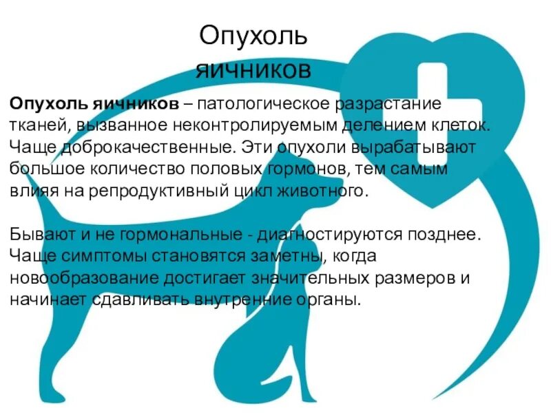 Рак яичников презентация. Рак яичников презентация. Опухолевидные образования яичников. Хирургическое лечение презентация. Опухоли яичников патанатомия.