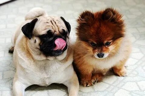 Is way cute