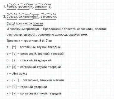 Русский язык 5 класс 139